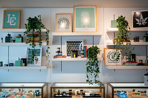 Interior decor, shelves and display cases