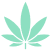 Hybrid strain icon