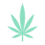 Sativa strain icon