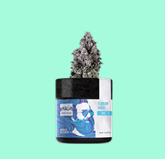 Garcia Hand Picked Florida Kush Flower Jar