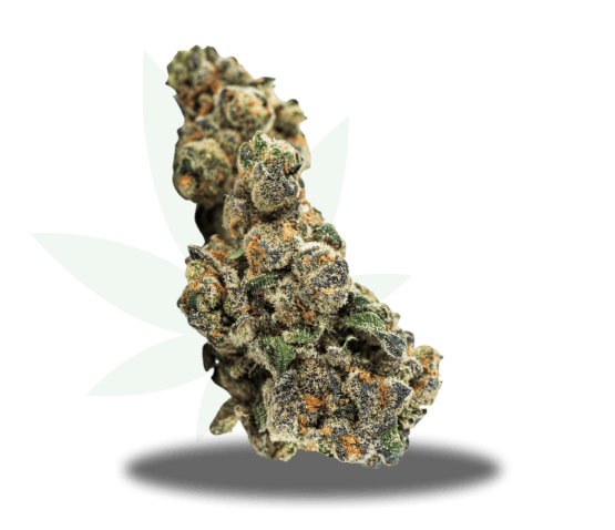 Gator Breath Strain