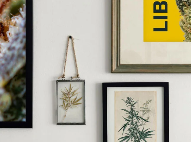growers-note-img Team members from Liberty's Maryland dispensaries