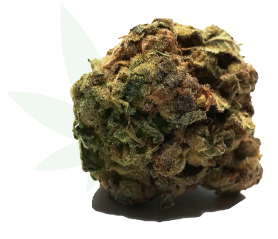 Cannabis Strain