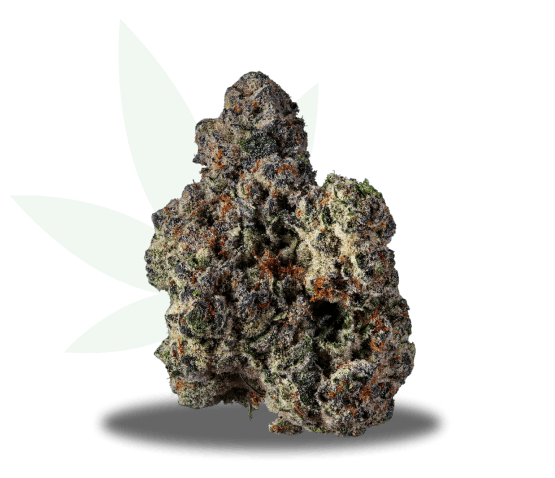 Juicee J Strain