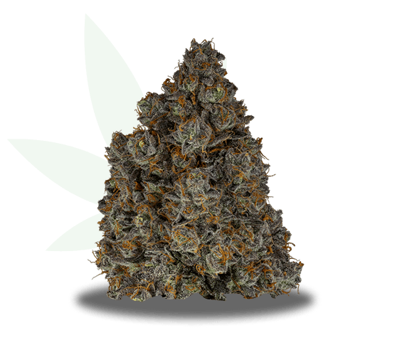 Mac and Cheese Strain