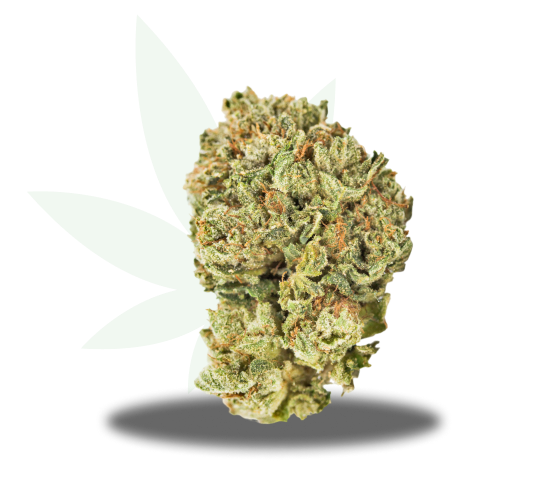 Banana Cream Pop Strain