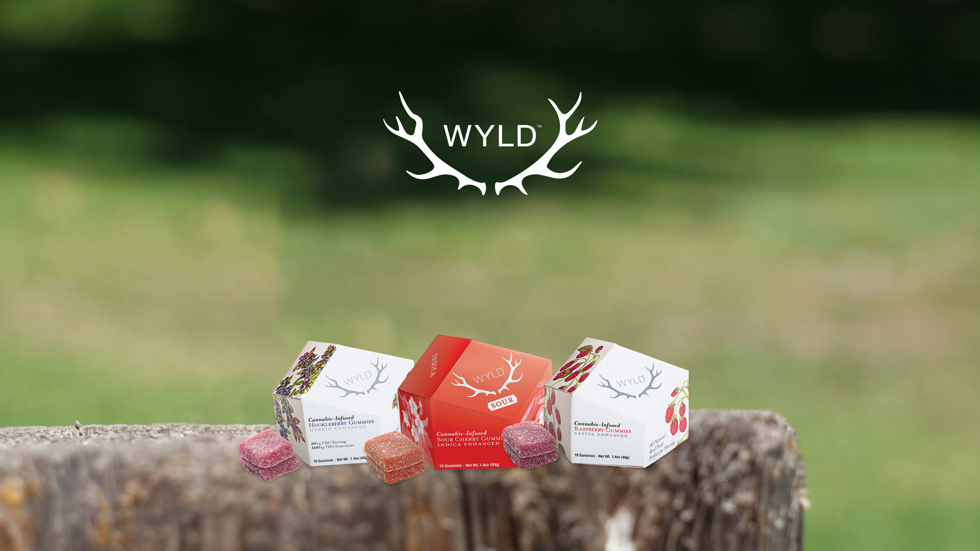 Wyld cannabis gummies and infused edibles