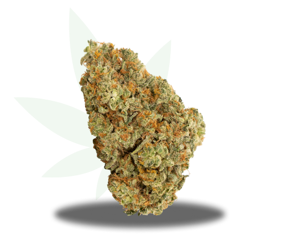Yoshi Kush Strain