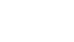 Liberty - STIIIZY