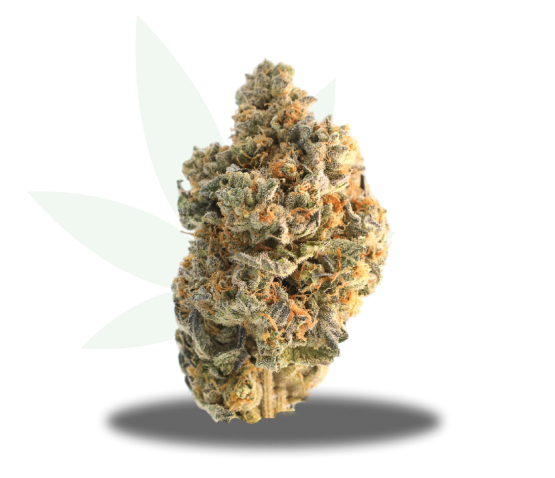 Curaco Strain Nug
